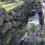 Irrigation at the flower gardens